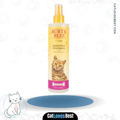 Burt’s Bees Waterless Shampoo With Apple and Honey