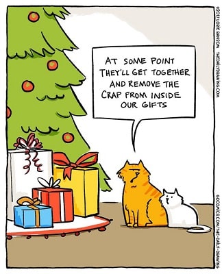Christmas Comic Cat Meme