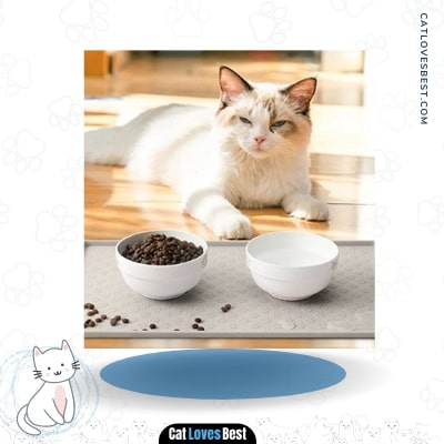 Coomazy Non slip Cat Feeding Mat with Raised EdgesWaterproof Cat Food Mat
