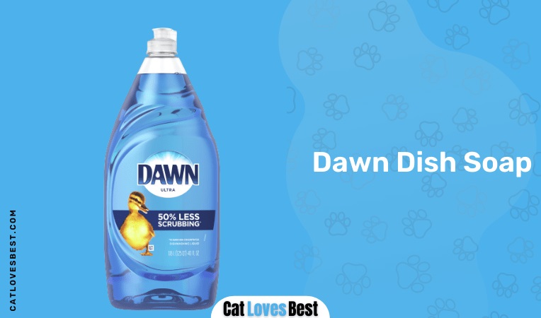  Dawn Dish Soap