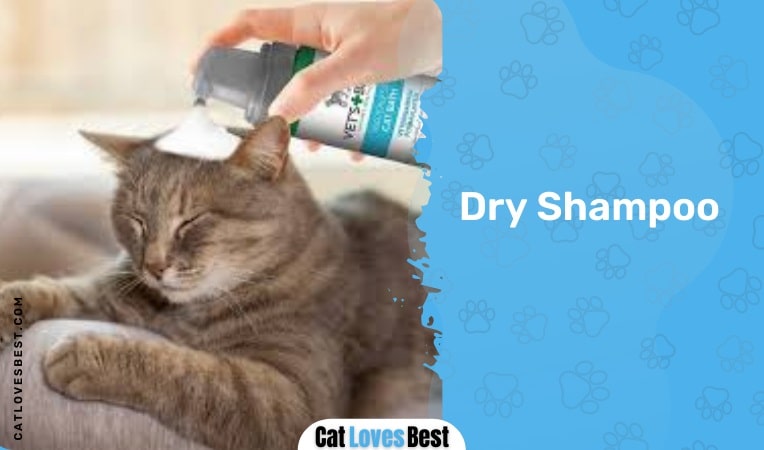 Cleaning Cat Dry Shampoo