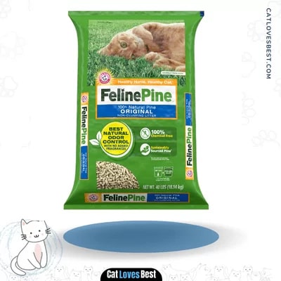  Feline Pine Original