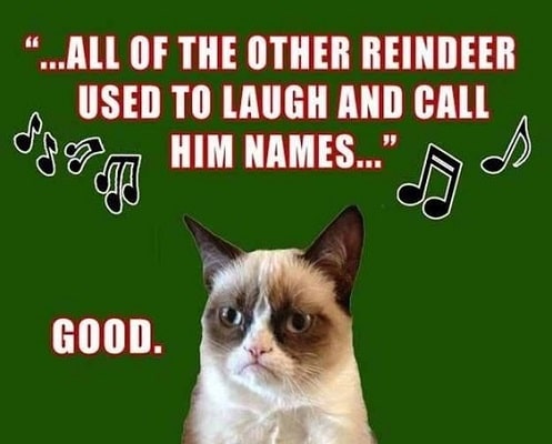  Grumpy Cat Christmas