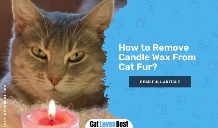 How to Remove Candle Wax From Cat Fur