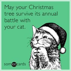 I Pray May Your Christmas Tree Survive