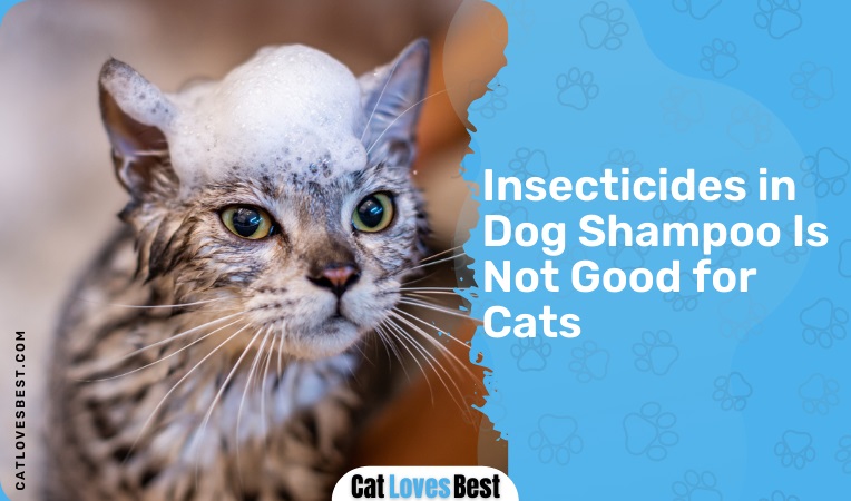  Insecticides in Dog Shampoo Is Not Good for Cats