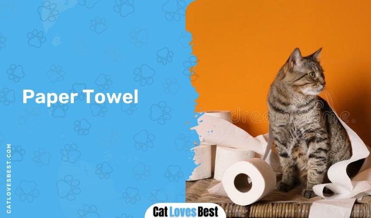 Cleaning Cat With Paper Towel