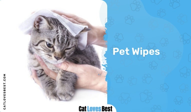 Pet Wipes