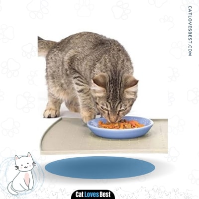 PetFusion Waterproof Cat Food Mat