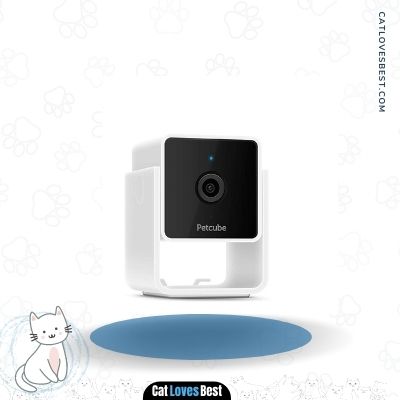 Petcube Cam Cat Monitoring Camera