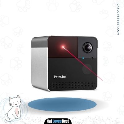 Petcube Play 2 Cat Camera with Monitoring App