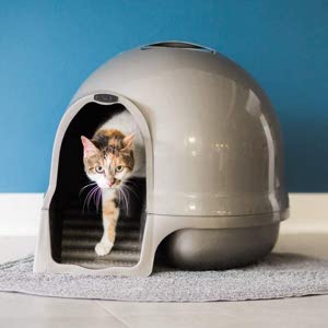 Petmate Booda Dome CleanStep Covered Litter Box