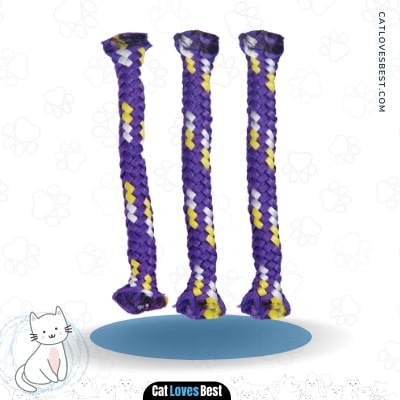 Best CatnipToys