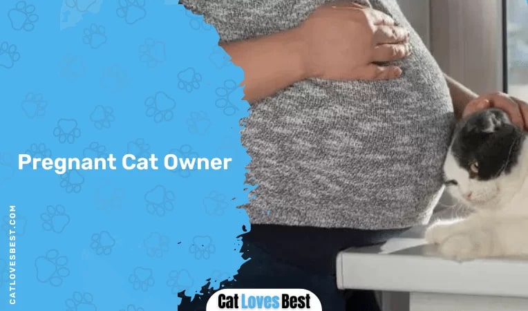 Pregnant Cat Owner