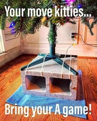 Purrfectly Hilarious Holiday Cat Meme