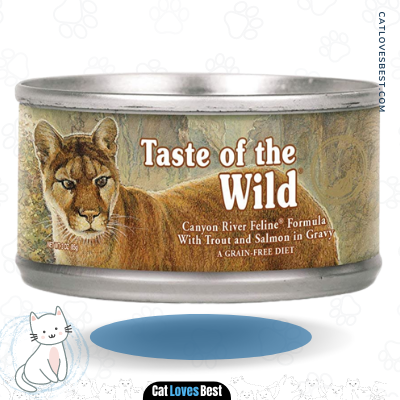  Taste of the Wild High Protein Real Meat Grain-Free Recipe — Canyon River