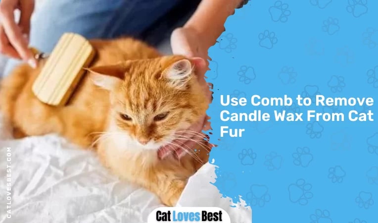 Use Comb to Remove Candle Wax From Cat Fur