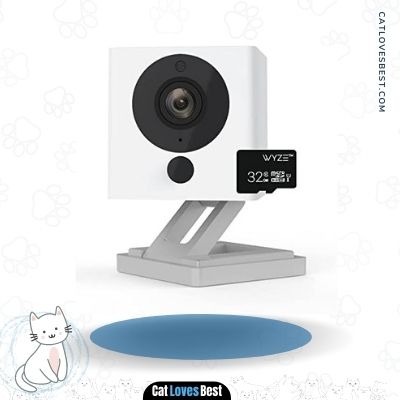 Wyze Cam v2 1080p Indoor Cat Monitoring Camera