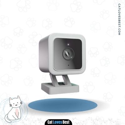 Wyze V3 Cat Cam with 1080p HD Color Night Vision