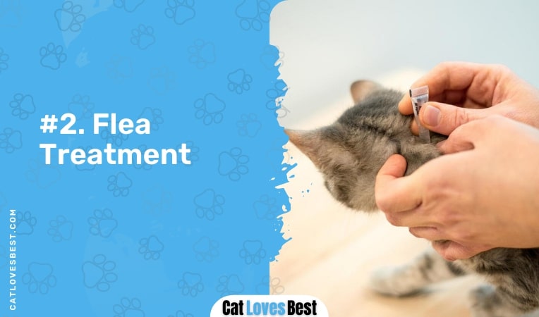 Flea Treatment