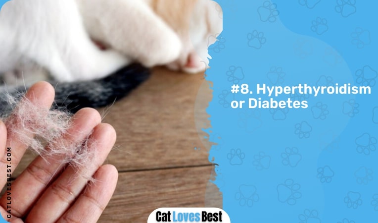 Hyperthyroidism or Diabetes