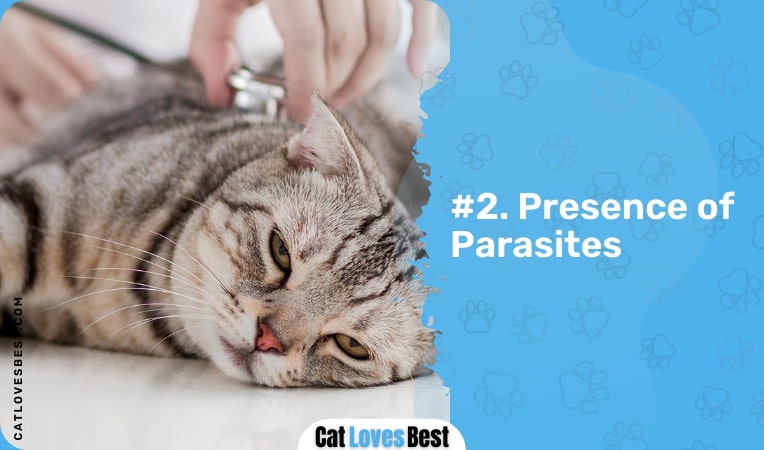 Presence of Parasites
