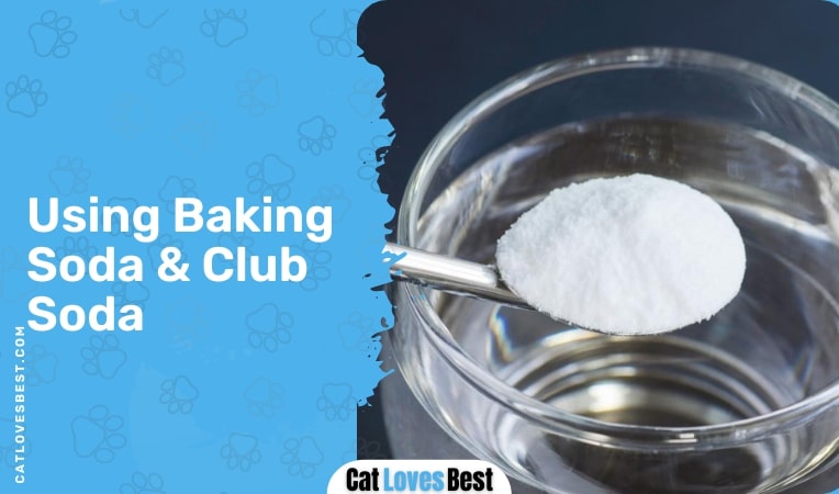 1. Using Baking Soda Club Soda