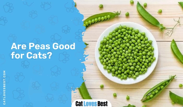 Are Peas Good for Cats