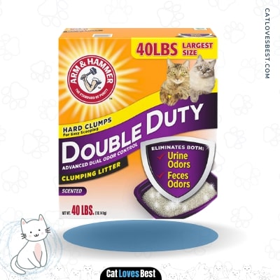 Arm & Hammer Litter Double Duty Scented Cat Litter