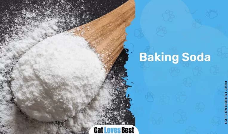  Baking Soda