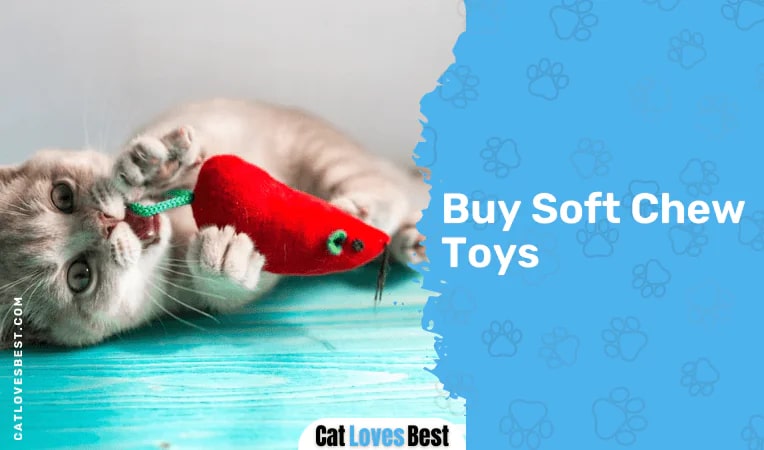 Buy Soft Chew Toys