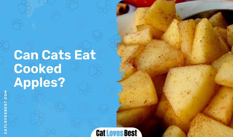 Can Cats Eat Cooked Apples