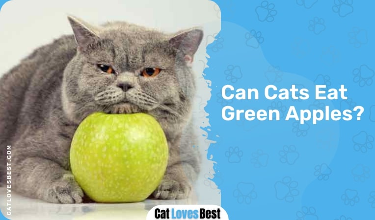 Can Cats Eat Green Apples