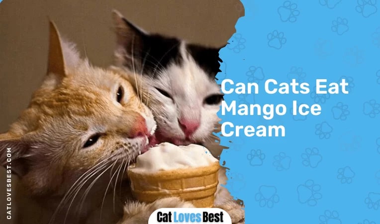 Can Cats Eat Mango Ice Cream
