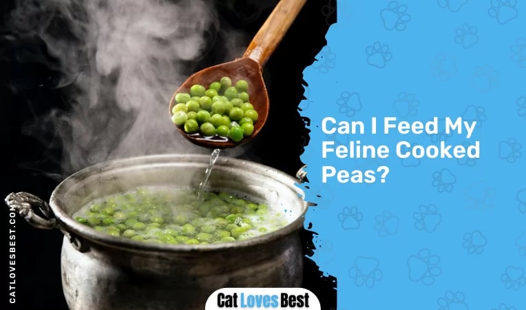 Can I Feed My Feline Cooked Peas