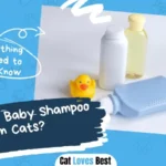 Can I Use Baby Shampoo On Cats