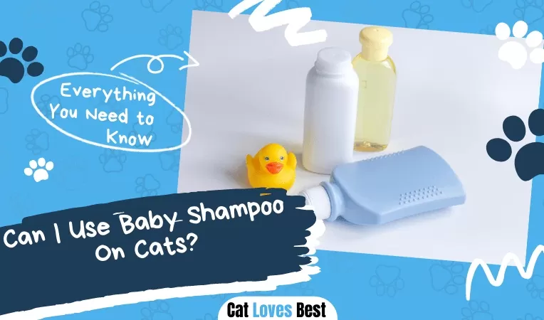 Can I Use Baby Shampoo On Cats