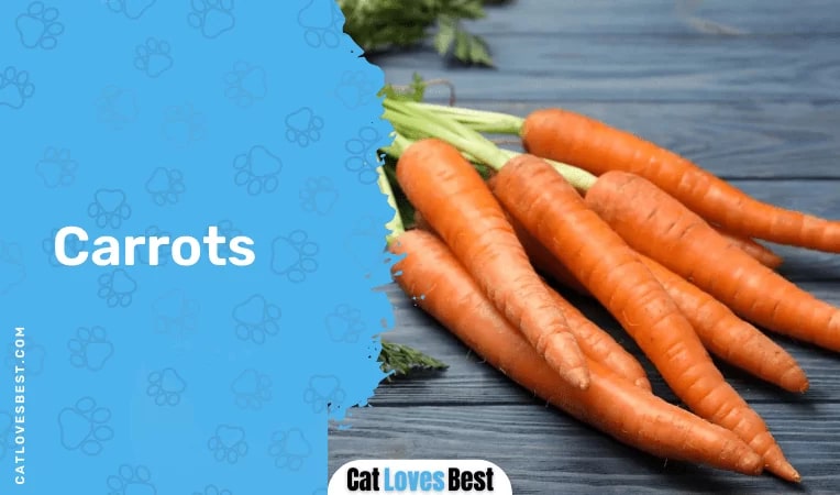  Carrots