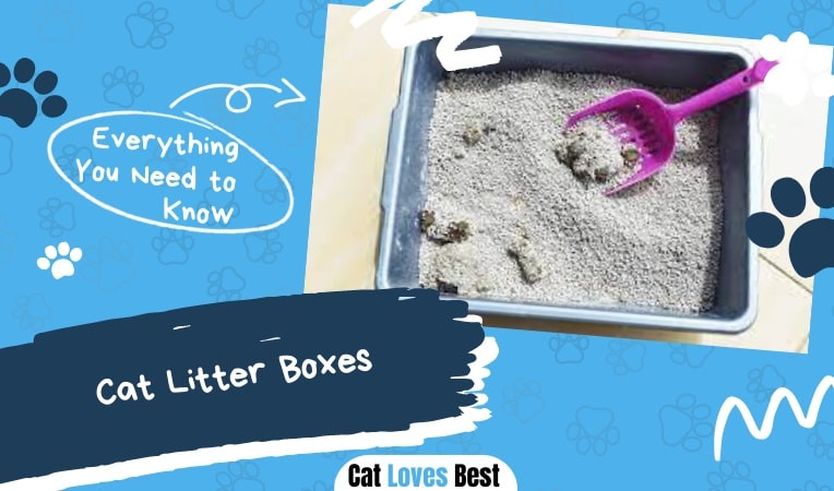 types of cat litter box