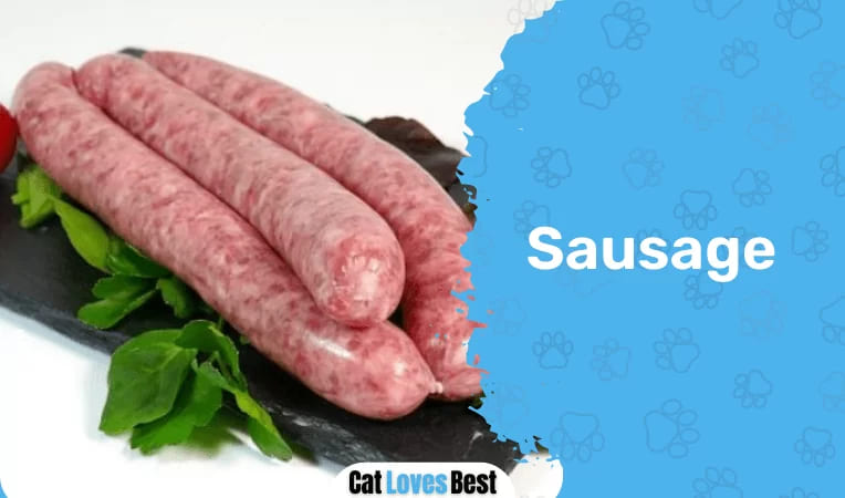 Cat & Sausage