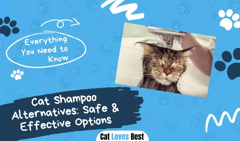 Cat Shampoo Alternatives