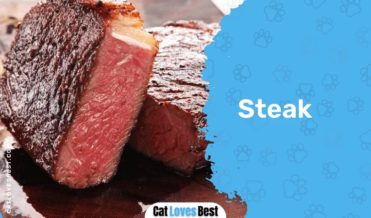 Cat & Steak