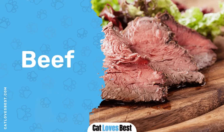 Cats & Beef