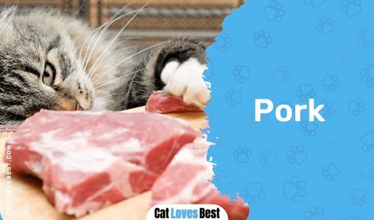 Cats & Pork