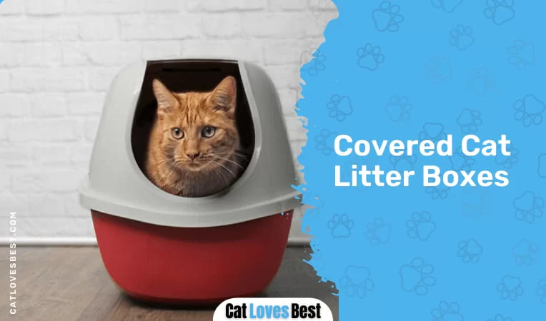Covered Cat Litter Boxes