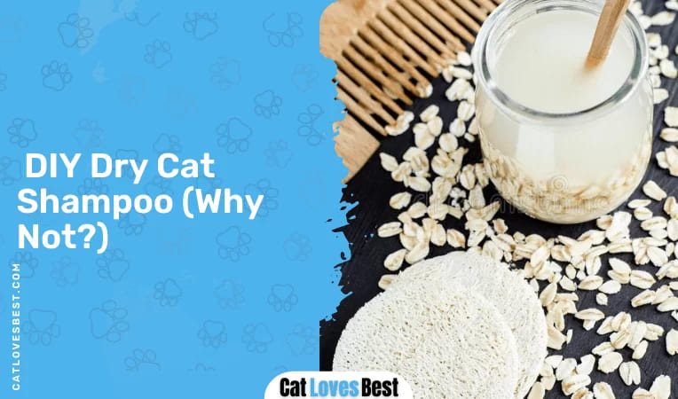 DIY Dry Cat Shampoo