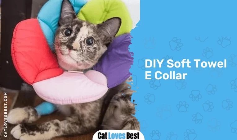  DIY Soft Towel E Collar