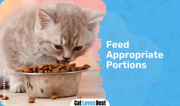 Feed Appropriate Portions