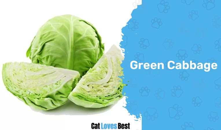 Green Cabbage.