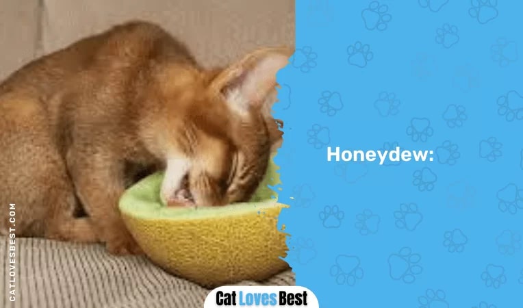 Honeydew